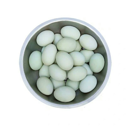 漯河 自家虫草鸭蛋