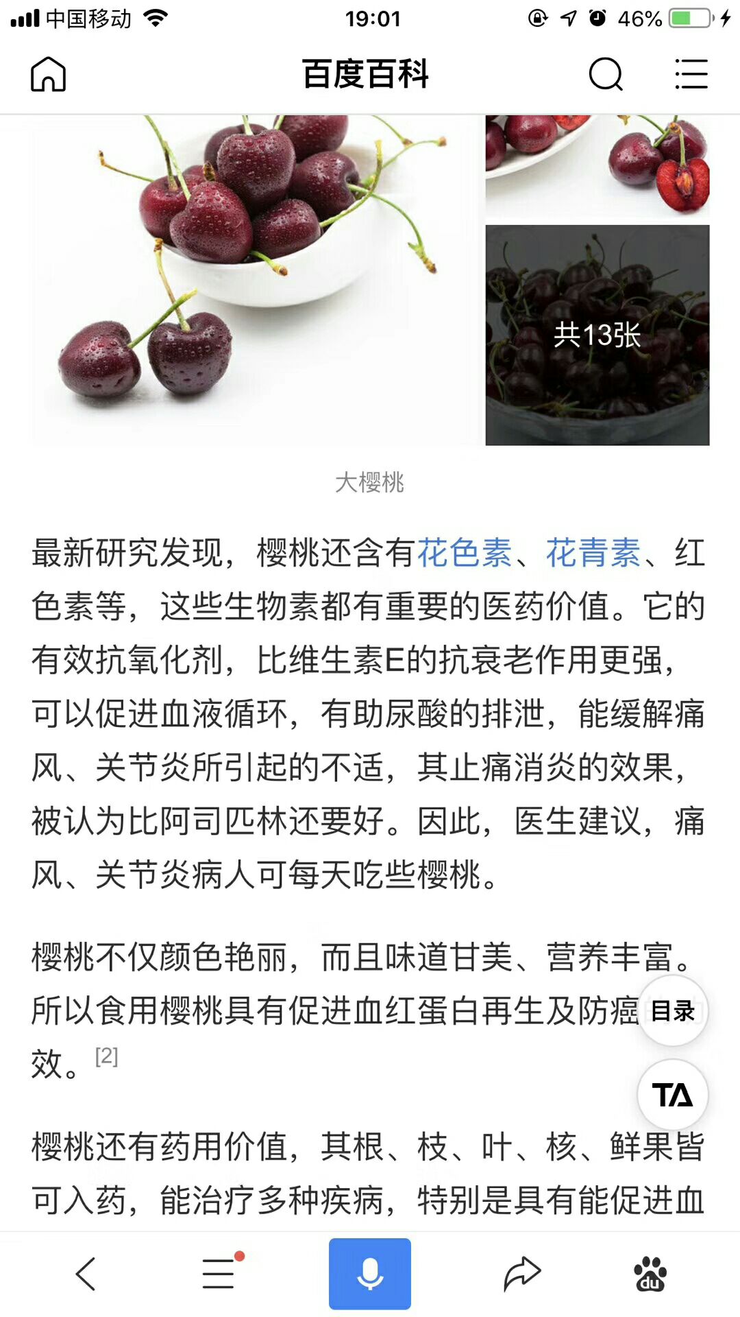  山东烟台栖霞高山大樱桃