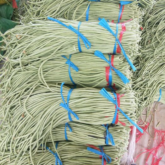 莘县架豆角 70cm以上