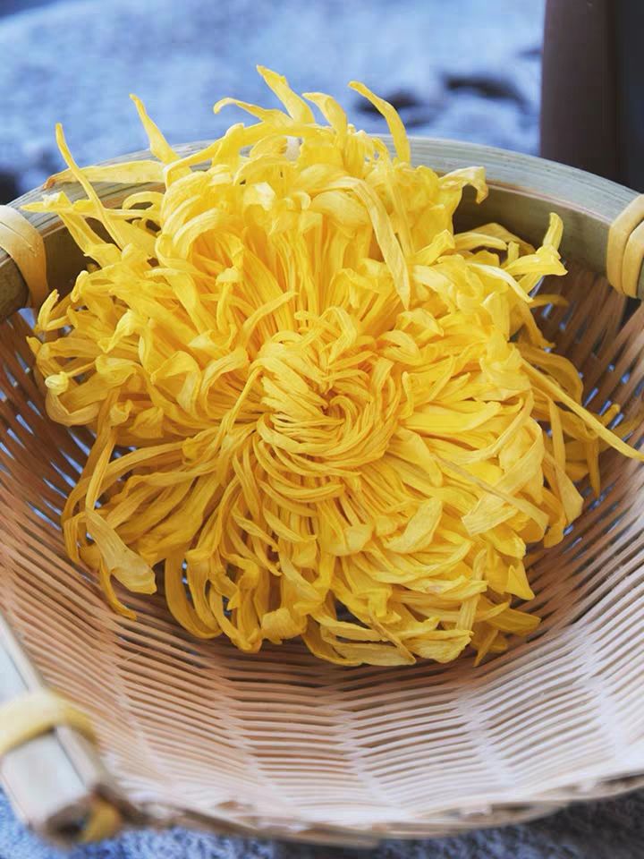 菊花茶 金丝皇菊安徽黄山菊花泡水菊花茶包邮