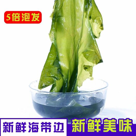 山东海带  盐渍海带边凉拌美味日本人长寿的秘诀常吃海洋中的食