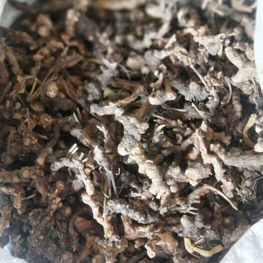 蔚县北苍术  太行山带朱砂点苍术