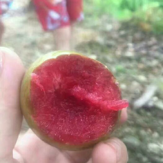 嵊州市 特色水果，羲之故居，特需土质种植，香甜可口，名叫桃形李