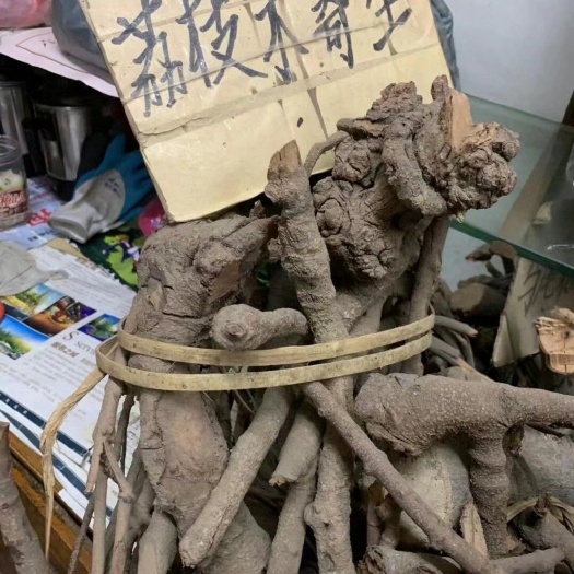 玉林 荔枝寄生