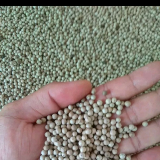 文昌市 胡椒 自种自销零加工健康就海南文昌实地发货正宗（您的调味