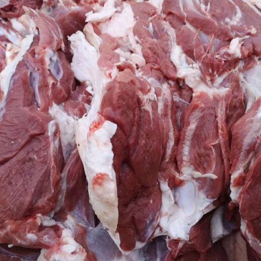盐池县滩羊肉 生肉