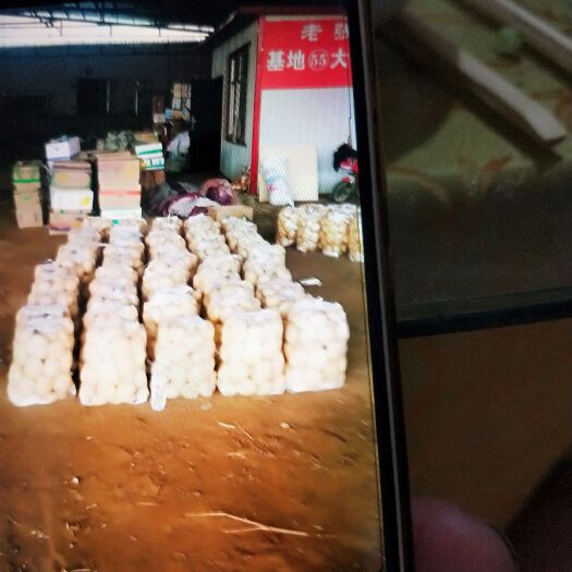 昌黎县 中暑土豆