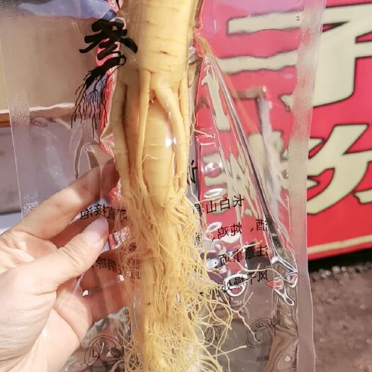 抚松县园参 长白山保鲜参毛重160克