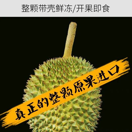 青州市猫山王榴莲D197 马来西亚猫山王D197现货