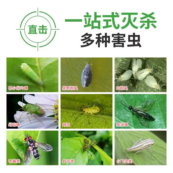 粘虫板黄板诱虫板灭虫板强力粘虫板大棚茶园果蔬杀粉虱沾小飞虫