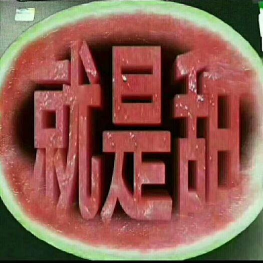 襄樊8424西瓜 5斤打底 8成熟 1茬 无籽 