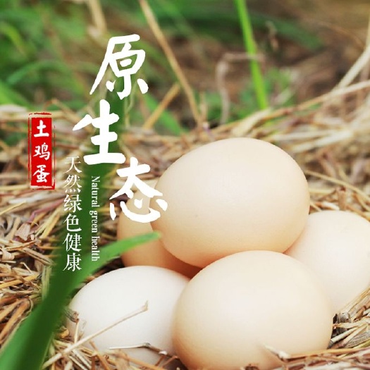 辉县市正宗农家土鸡蛋草鸡蛋营养高口感好一件代发破损包赔