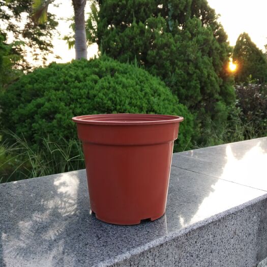 佛山穴盘/育苗盘 基地育苗盆 基地花盆
