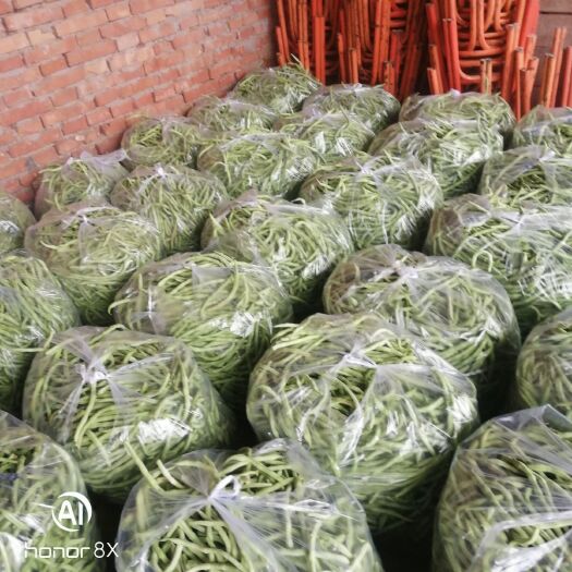 渭南架豆王豆角  架豆王一豆角，