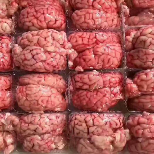 鄄城县羊肉类 生肉
