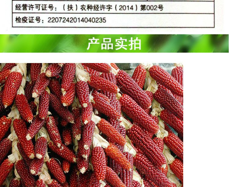  红粘大棒 红香糯鲜食水果玉米种子批发 四季播种蔬菜种子红玉米