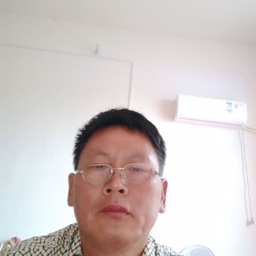 睢县西瓜红红薯苗 现有十亩地西瓜红薯苗，欢迎需求的迅速来剪