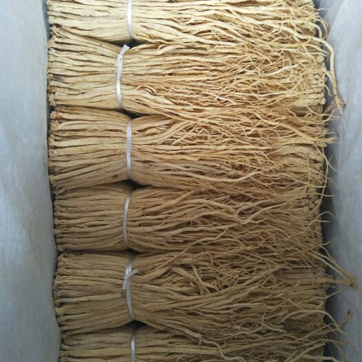 渭源县 药材基地(白条党参)