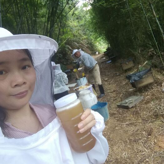 翁源县百花蜜 塑料瓶装 2年 