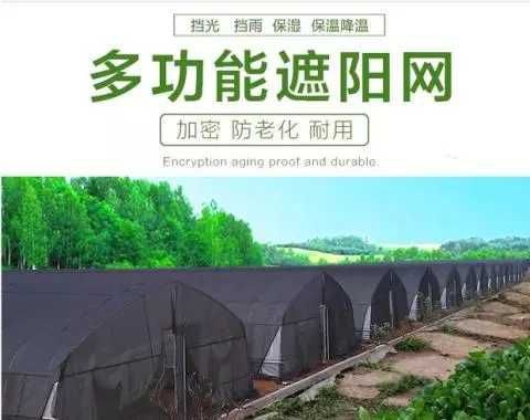 平邑县 遮阳网 抗老化 五年没问题 蔬菜 果树大棚专用
