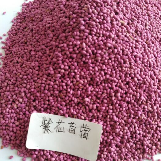 嘉祥县苜蓿草种子 紫花苜蓿有“牧草之王”的称号，一般春播或者秋播都可以。