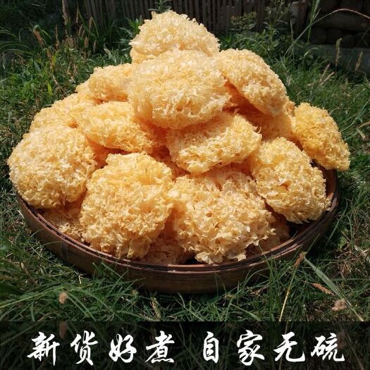 古田銀耳  古田大花銀耳干貨 整朵新貨出售 無(wú)熏硫 可批發(fā)代發(fā)量大更優(yōu)惠