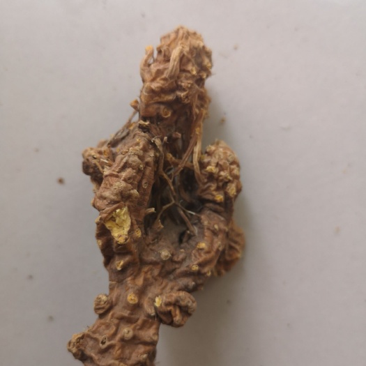 邯郸 优质中药材射干