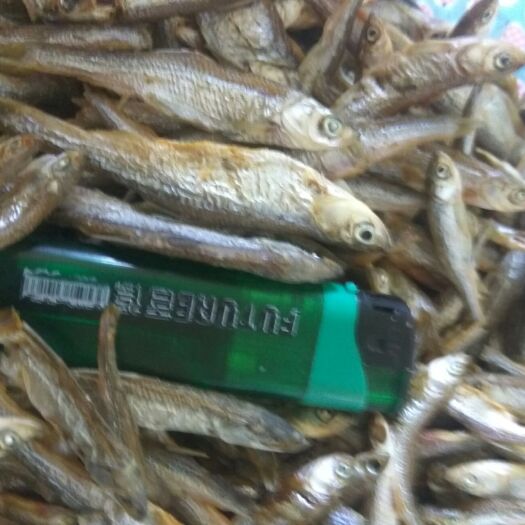 辉南县小麦穗鱼干