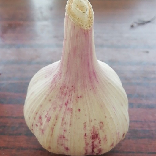 红皮大蒜 4.5-5.0cm 多瓣蒜