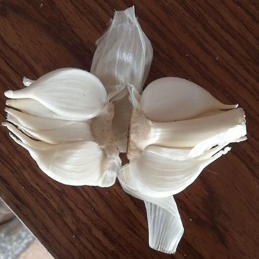 射阳县射阳白皮蒜  大蒜大量上市，产地直销