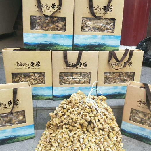 黄蘑菇【祁连野生黄菇】节日送礼珍品