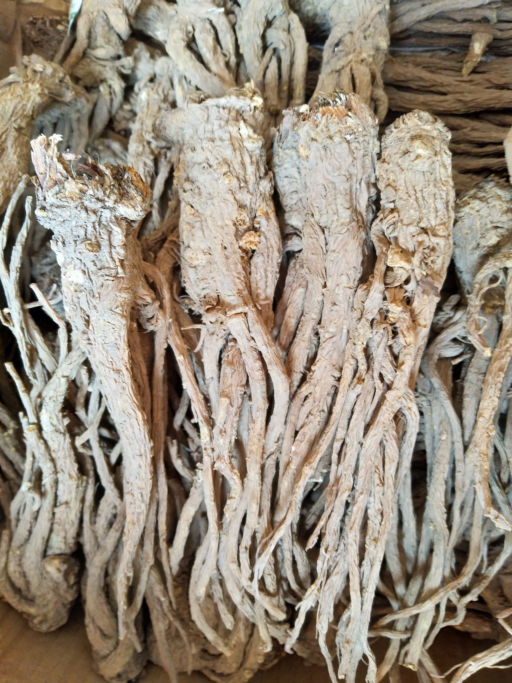 甘肃岷当归药性好无硫煲汤的天然佳品