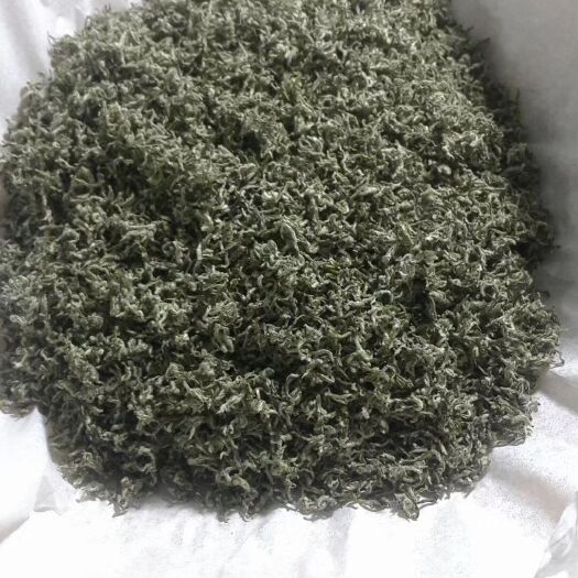 都匀市 贵州 都匀毛尖茶_（散装～特级）