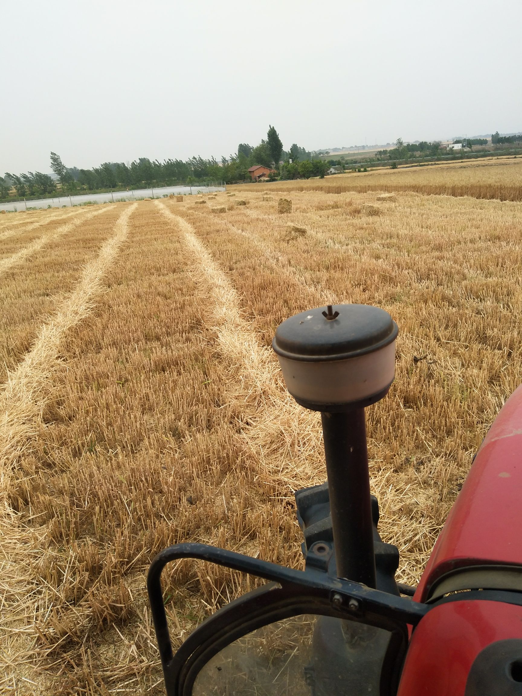 秸秆类饲料 无土无霉变。今年的新货