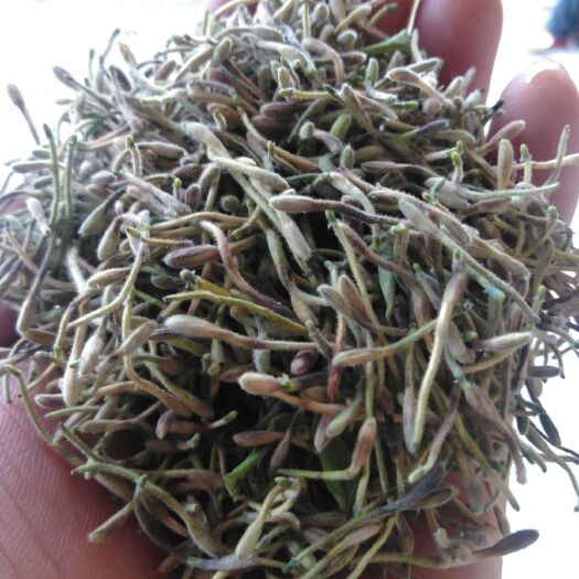 略阳县陕西汉中略阳散装金银花茶叶天然草本植物花草茶批发零售