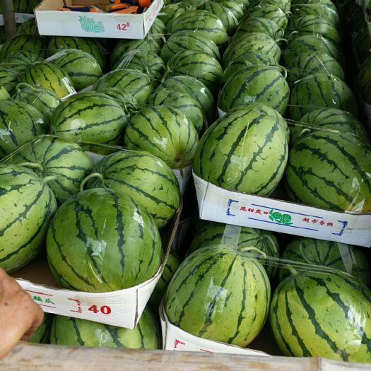 岳阳久甜2号 诚信第一，保质保量