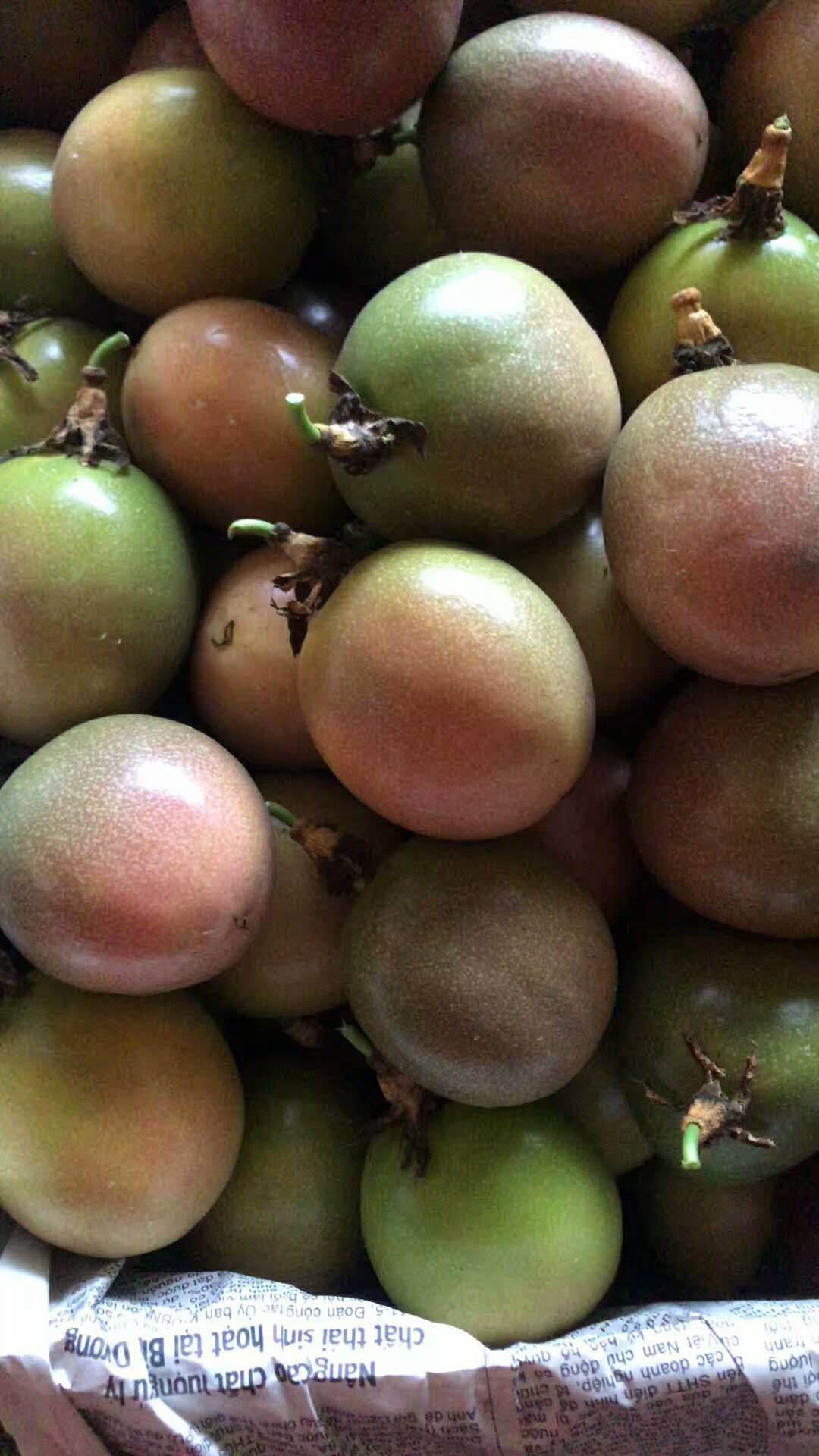 黄金一号百香果 80 - 90克