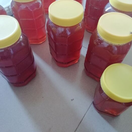 北海土蜂蜜 小叶按蜜