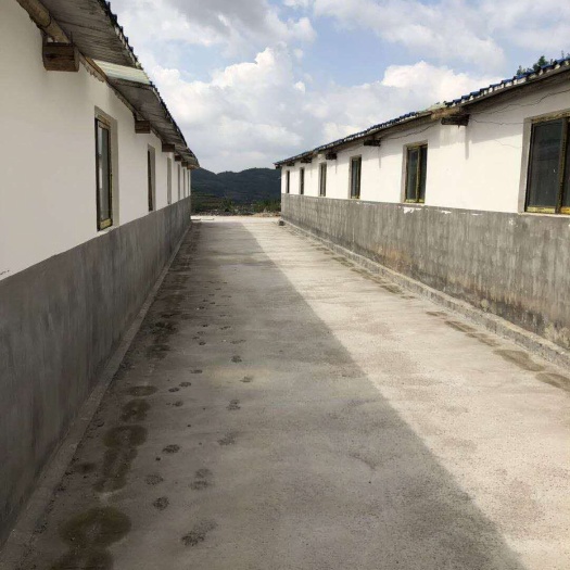 曲靖厂房 养殖场出售，5幢房舍加生活用房，证件齐全，低价