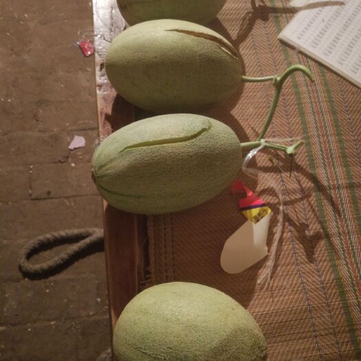 夏邑县西州蜜 精品小蜜