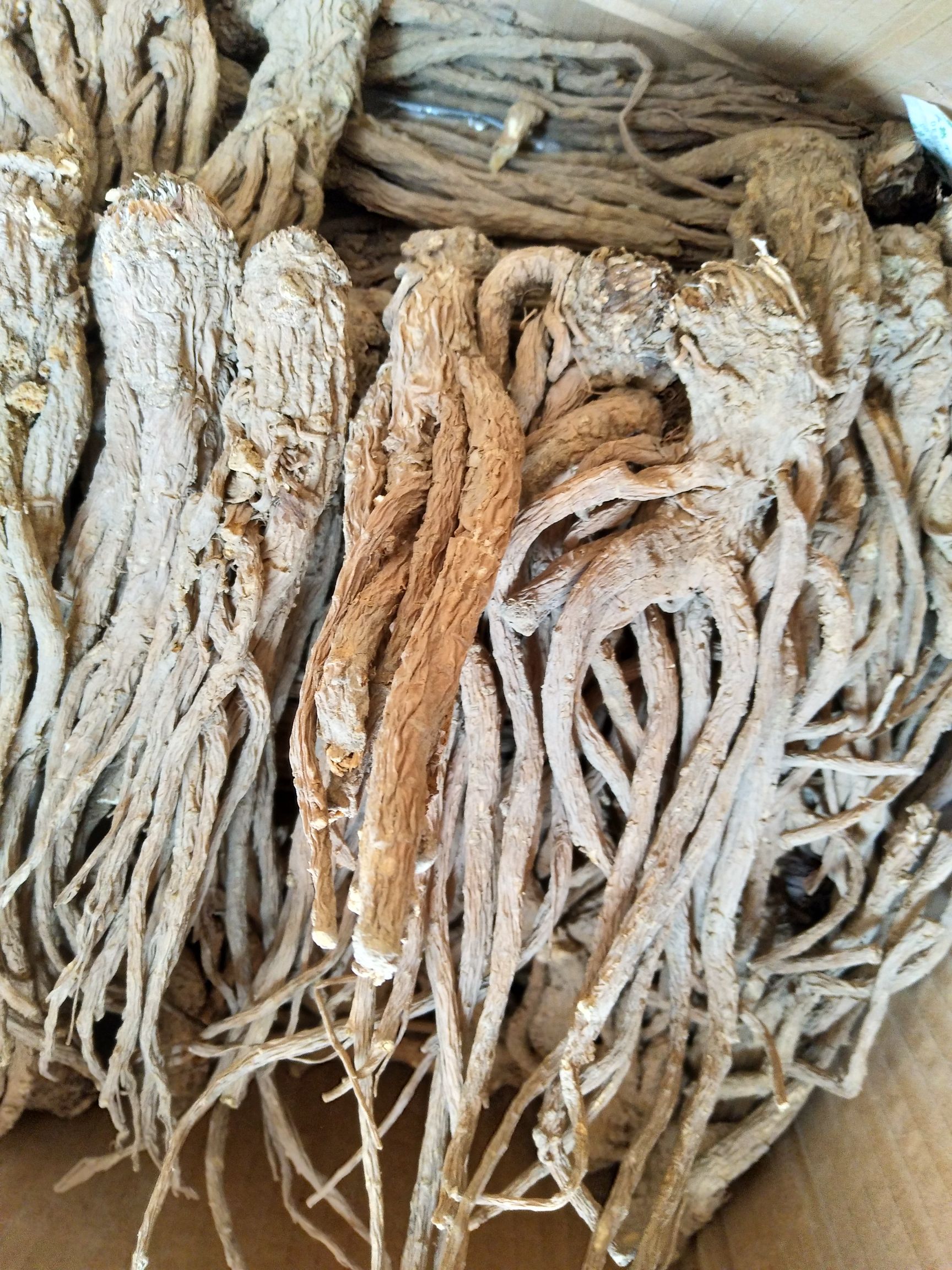 甘肃岷当归药性好无硫煲汤的天然佳品