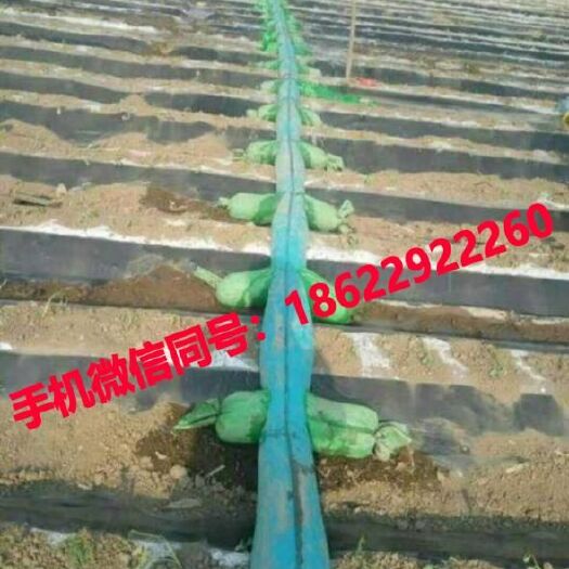 天津 布水带批发零售