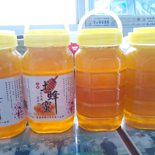 徽县 土蜂蜜