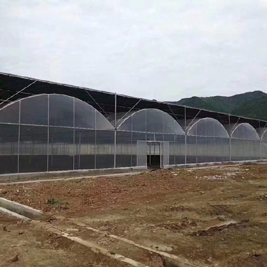 沭阳县大棚钢管 厂家直销钢架大棚蔬菜棚养殖棚水产棚花卉棚等