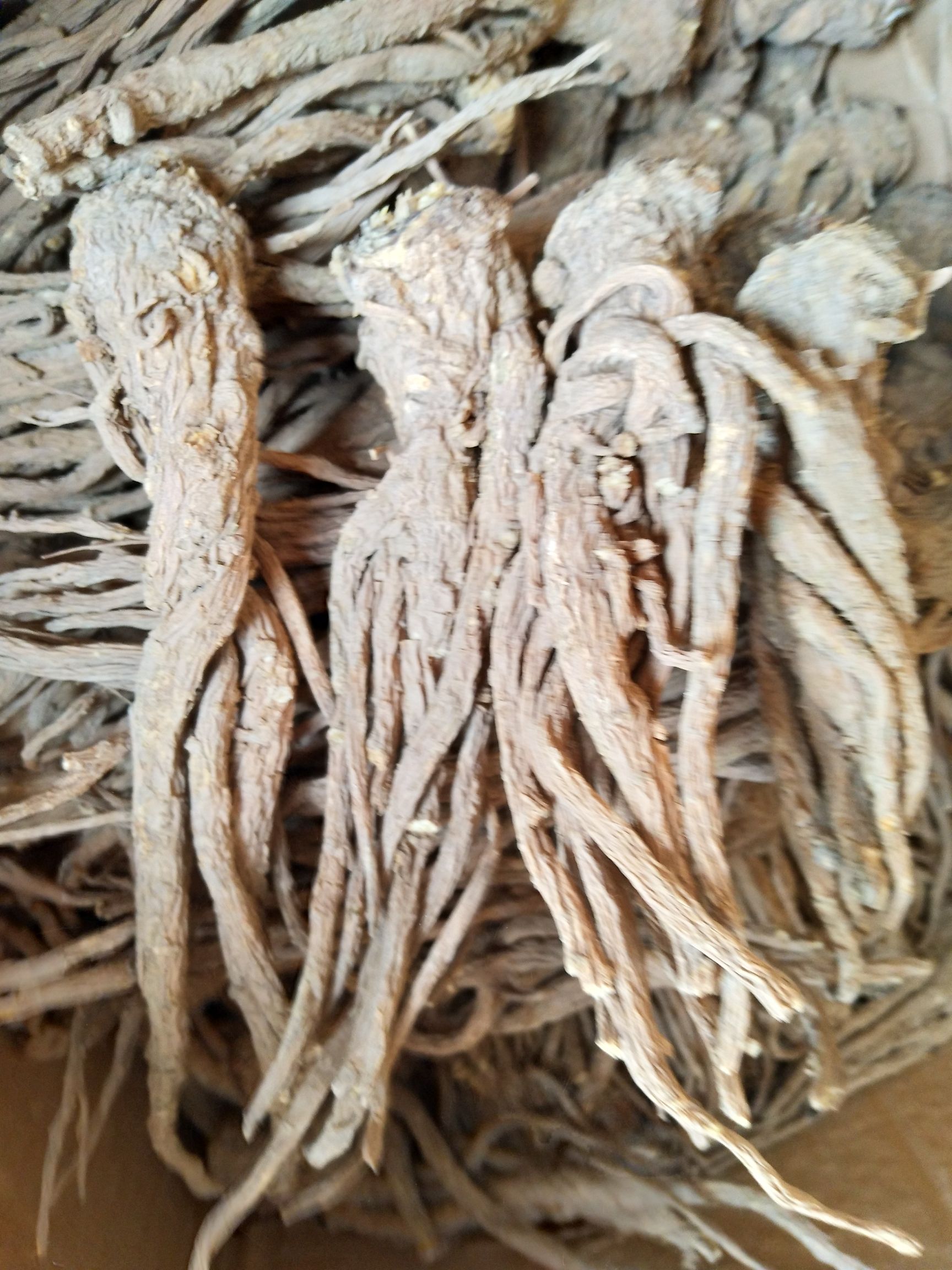 甘肃岷当归药性好无硫煲汤的天然佳品