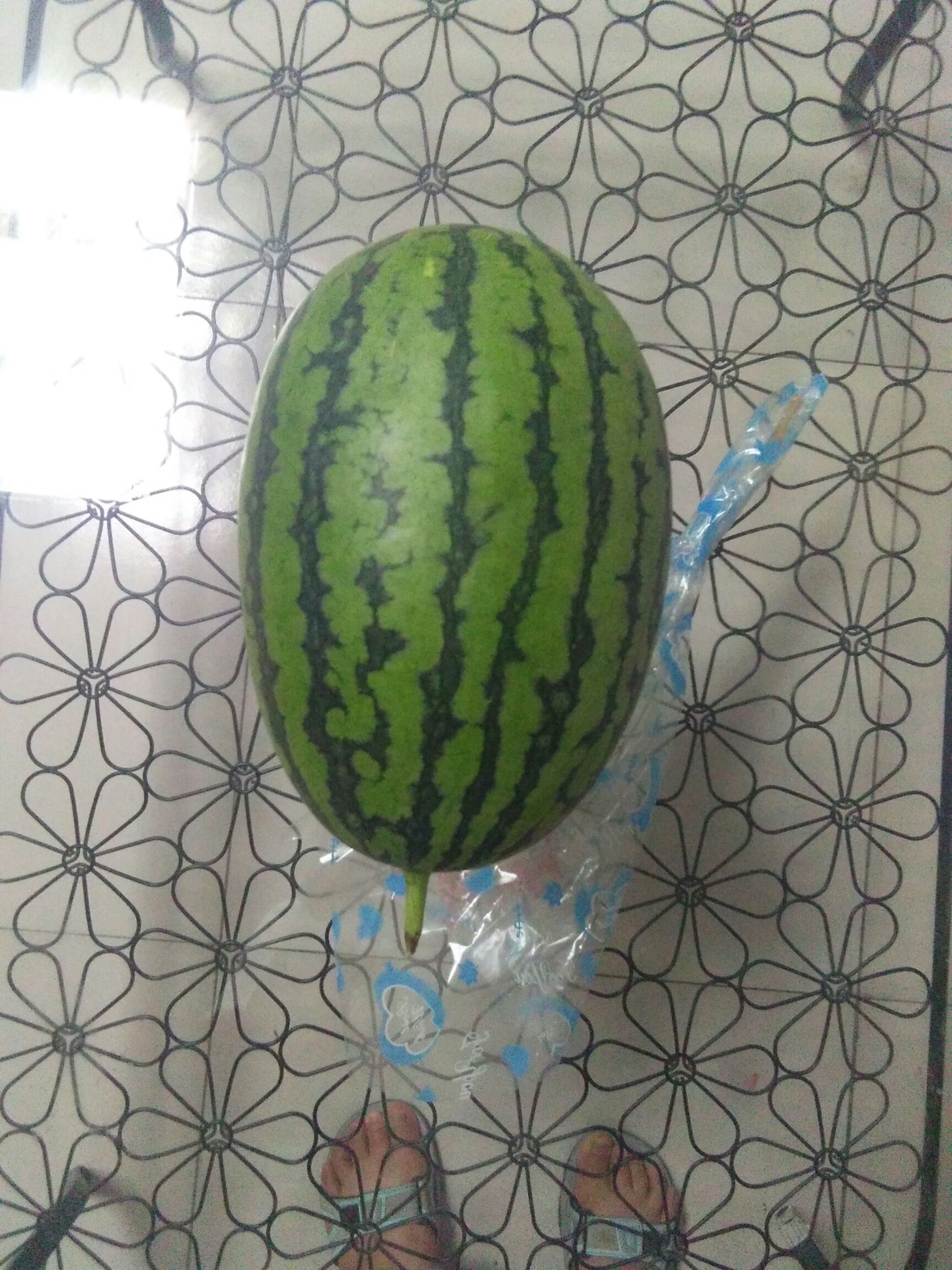 [L600西瓜批发] 正宗庞各庄西瓜价格110元\/箱 