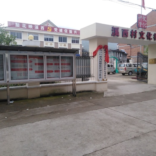 翠冠梨  梨花映溪西，欢迎各地客商来光临。基地直供，按需分拣