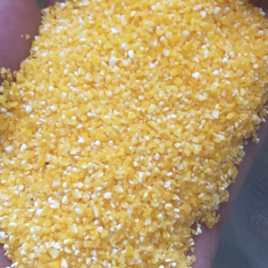 中牟县玉米干粮 玉米仁，玉米糁，玉米