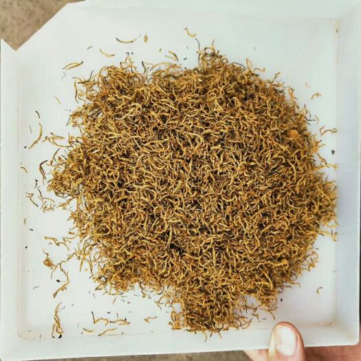 昭平县野生红茶