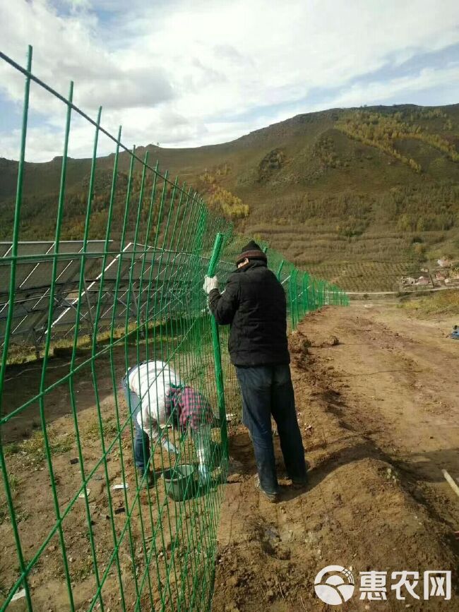 护栏网隔离栅 果园防锈铁丝网围栏 道路围栏 养殖圈地圈山